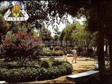 Ver fotos antiguas de parques, jardines y naturaleza en PINEDA DE MAR