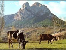 Pedraforca en Barcelona