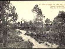 Passeig i Santuari de Ntra. Sra. de Juncadella