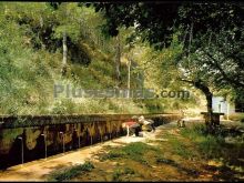 Ver fotos antiguas de fuentes en TORELLAS DE FOIX