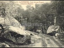 Ver fotos antiguas de Parques, Jardines y Naturaleza de LLEVANERAS