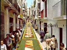 Corpus Christi - Alfombras de Flores (Barcelona)