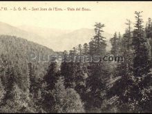 Vista del bosc en lleida