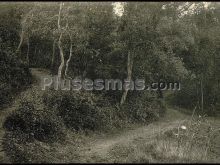 Santuari de Sta. Afra-Camí de la Font del Junca