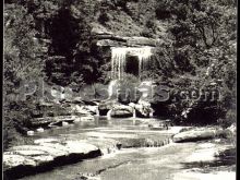 Ver fotos antiguas de parques, jardines y naturaleza en COLLSACABRA