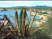 Ver fotos antiguas de playas en TARRAGONA