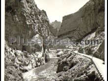 Ver fotos antiguas de parques, jardines y naturaleza en SORT