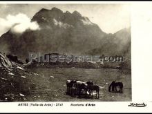 Arties en el valle de arán (lleida)