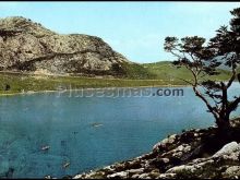 Lago enol en los lagos de covadonga (asturias)