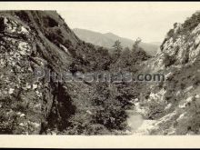 Picos de europa (asturias)