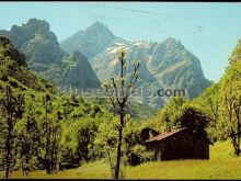 La peguera. camino de posada de valdeón a cain (asturias)