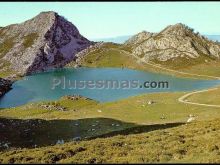 Lago enol en los lagos de covadonga (asturias)