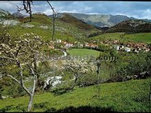 Vista general de arenas de cabrales y al fondo sierra de cuera (asturias)