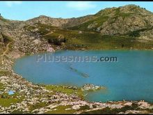 Lago enol es uno de los dos lagos de covadonga (asturias)