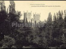 El castillo de secades; caldas de oviedo (asturias)