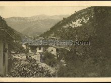 Carreña de cabrales (asturias)