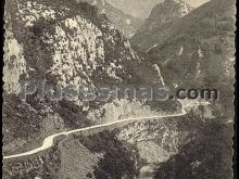 Las estazadas desde golondrón en cabrales (asturias)