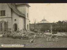 Foto antigua de BUENOS AIRES