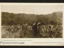 Foto antigua de MISIONES