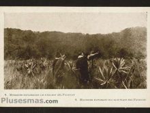 Foto antigua de MISIONES