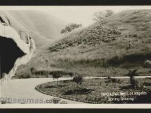 Foto antigua de VARIAS