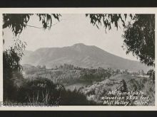 Foto antigua de VARIAS