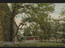 Foto antigua de VARIAS