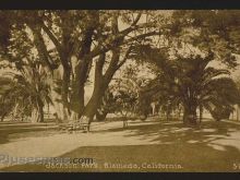 Foto antigua de VARIAS