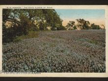 Foto antigua de TEXAS