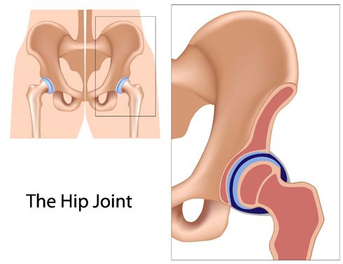 Articulación elipsoidal