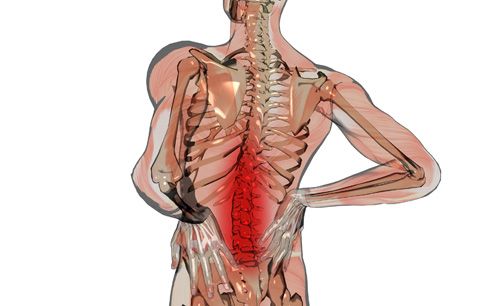 Columna lumbar