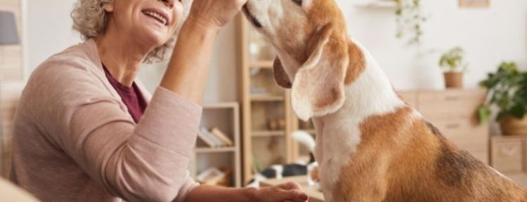 Por qué deberías tener una mascota después de los 60