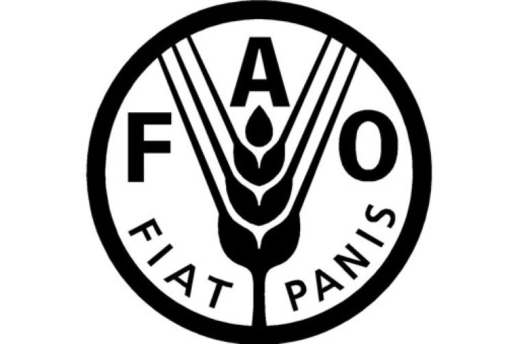 España entra en la FAO