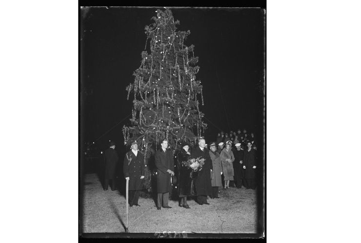 Se enciende el primer árbol de Navidad iluminado con bombillas eléctricas