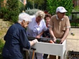 Plantación de verduras y hortalizas en los huertos terapéuticos de los centros Amma