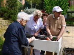 Plantación de verduras y hortalizas en los huertos terapéuticos de los centros Amma