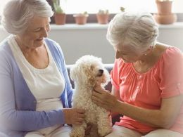 'Seniors Helping Seniors': mayores que cuidan a mayores