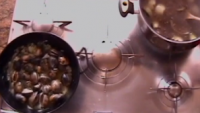 Receta: lentejas con almejas
