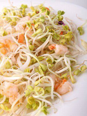 Ensalada brotes de soja y gambas