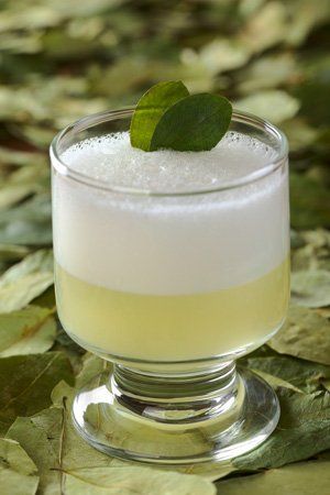 Pisco sour de perú