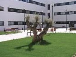 Sanitas Residencial - Residencia Getafe