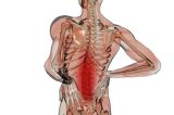 preguntas frecuentes sobre el dolor lumbar