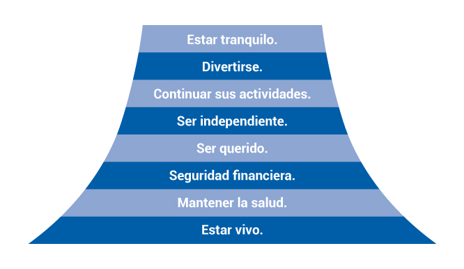 grafico prioridades senior